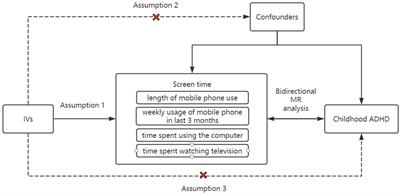 Relationships between screen time and childhood attention deficit hyperactivity disorder: a Mendelian randomization study